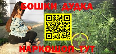 ПСИЛОЦИБИНОВЫЕ ГРИБЫ Кунгур