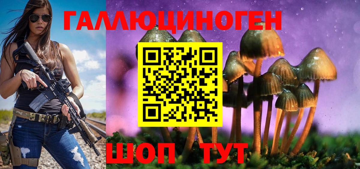 Копейск  Галлюциногенные грибы Psilocybine cubensis  Вход с VPN 